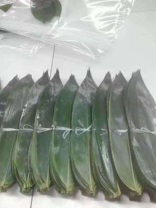 100% φυσικά 32cm φρέσκα φύλλα μπαμπού για τη συσκευασία τροφίμων