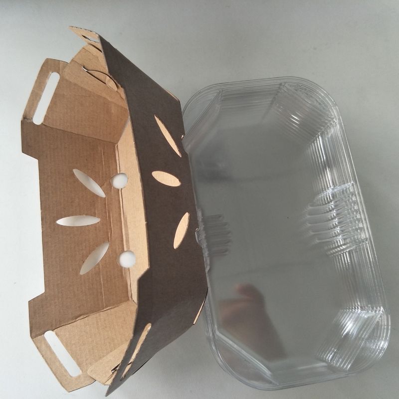 Ανακυκλώσιμος δίσκος φρούτων εγγράφου 350gsm Kraft με το καπάκι της PET
