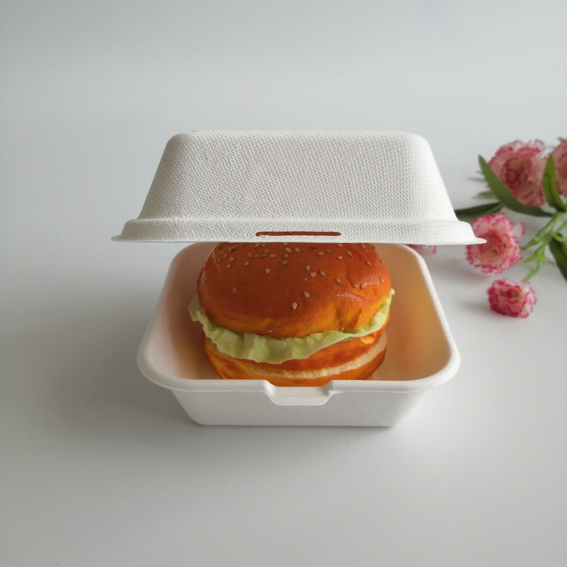 5 ίντσα Burger ζαχαροκάλαμων 6 ίντσας βιοδιασπάσιμο μίας χρήσης κιβώτιο